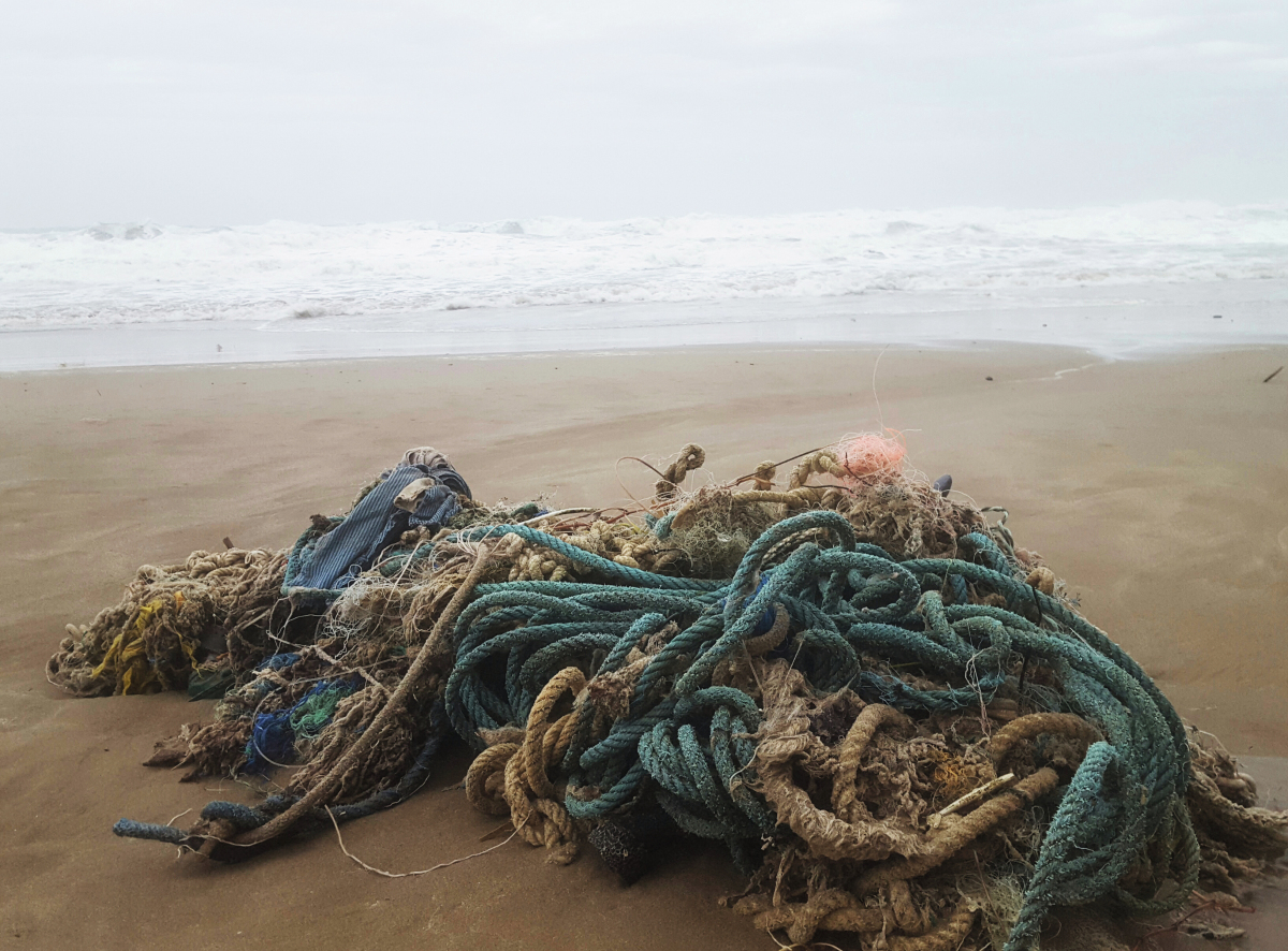 Plastikmull Im Meer Auswirkungen Und Losungsstrategien Recovery
