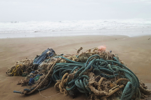  Flotsam on Spain's coast 