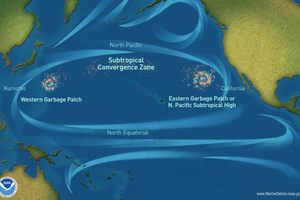  6 The North Pacific gyre 