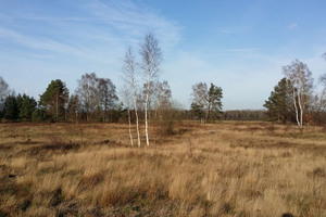  View over the open landscape of the DBU- natural heritage sites Wersener Heide 