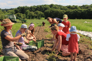  CSA Hof Pente – Community-supported agriculture 