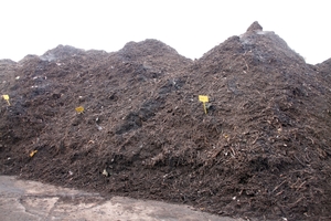  The shredded green waste is then stored in windrows for 12 to 14 weeks, the composting process is working 