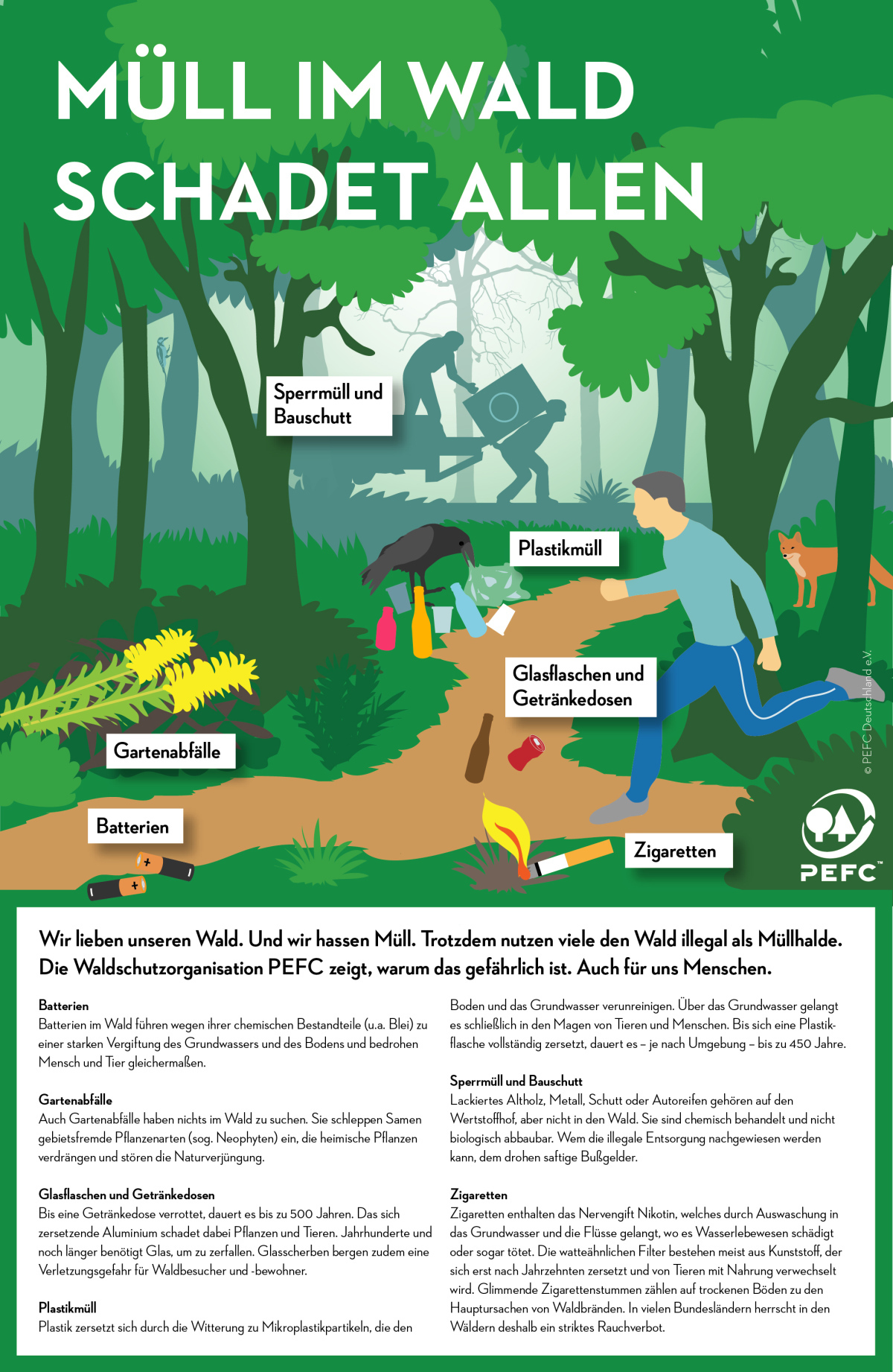 Die Folgen von illegaler Müllentsorgung im Wald - recovery
