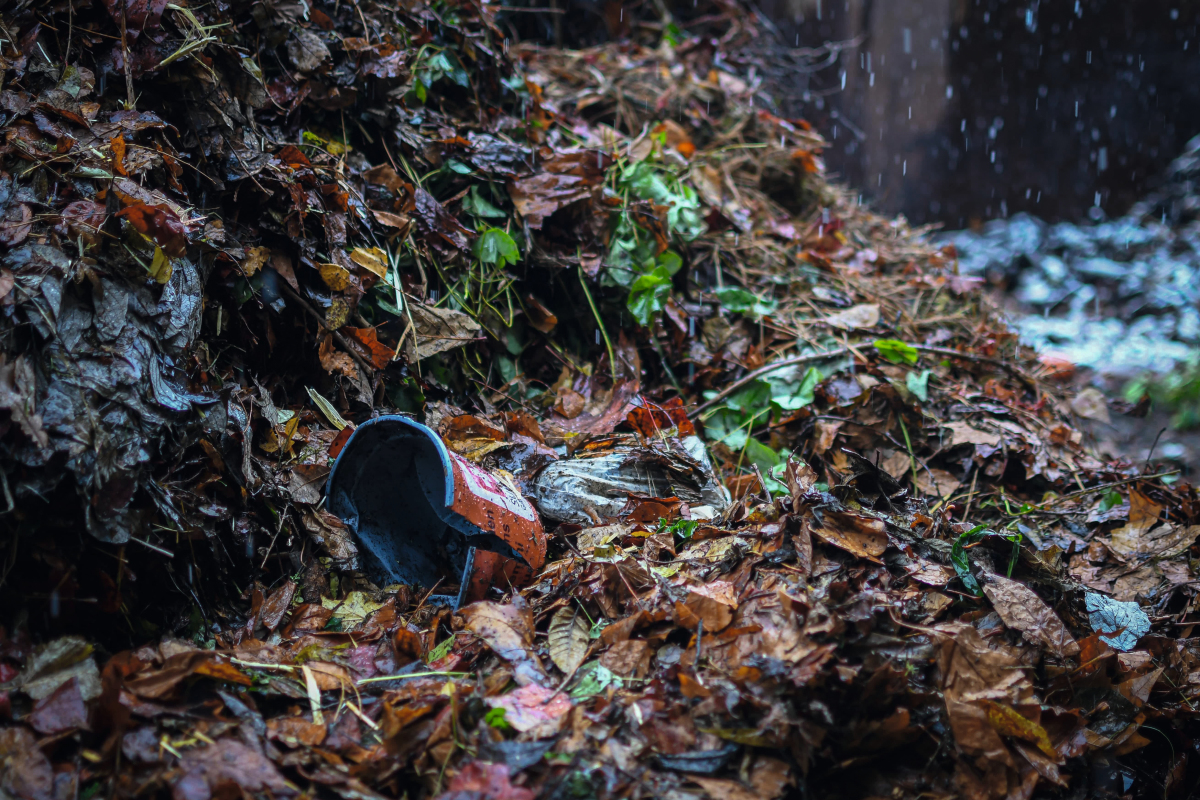 Sorting robots clean green waste from impurities recovery