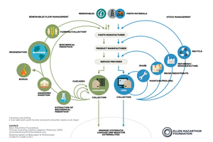  10 Butterfly diagram of the circular economy  