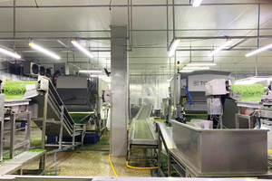  15 Sorting system for foodstuffs 