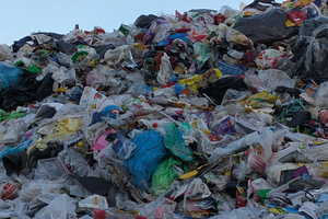  Zu sortierendes Material 